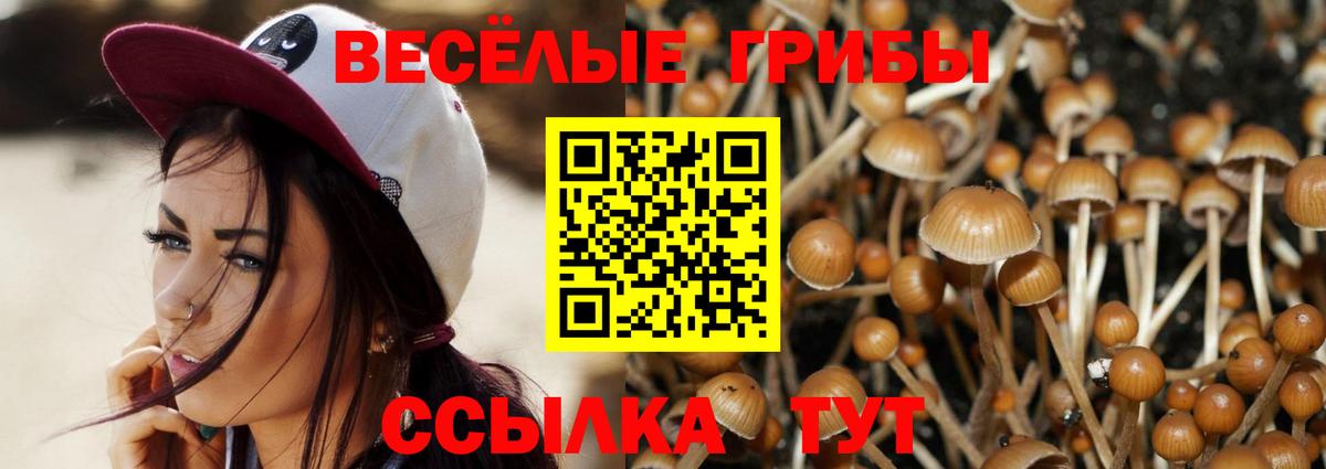 Рузаевка  Галлюциногенные грибы мухоморы  Вход с VPN 
